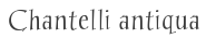 Chantelli antiqua Font