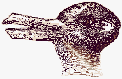 نرم افزار محشر - اين تصوير يك خرگوش است يا يك اردك؟